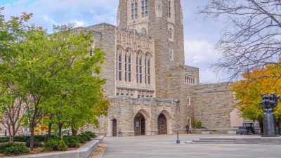 The Library of Princeton University – A Paradise!