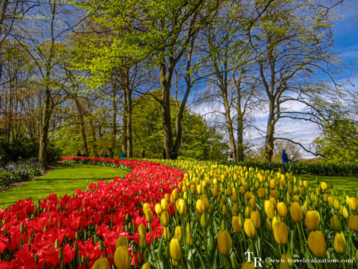 Keukenhof - World's largest flower garden, Travel Realizations, A travel guide, Map