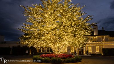 30 Best Places to See Christmas Lights in the San Francisco Bay Area (2026)