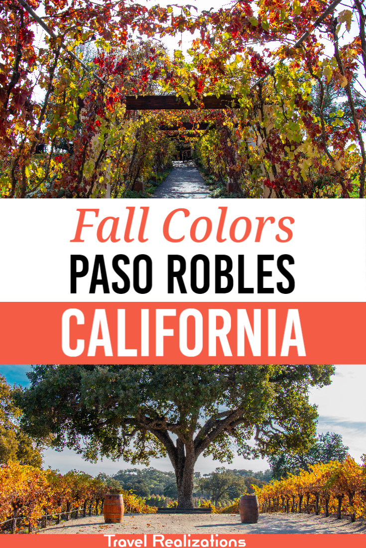 Fall colors across the vineyards of Paso Robles, California