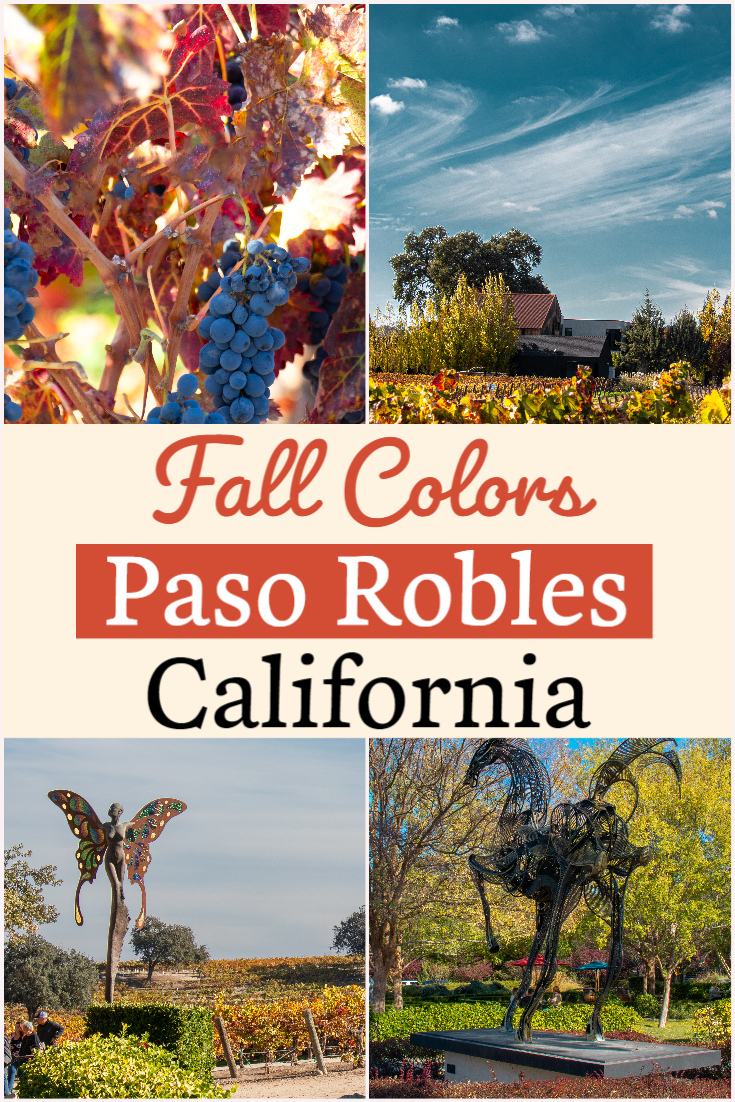 Pinterest pin for fall colors in Paso Robles