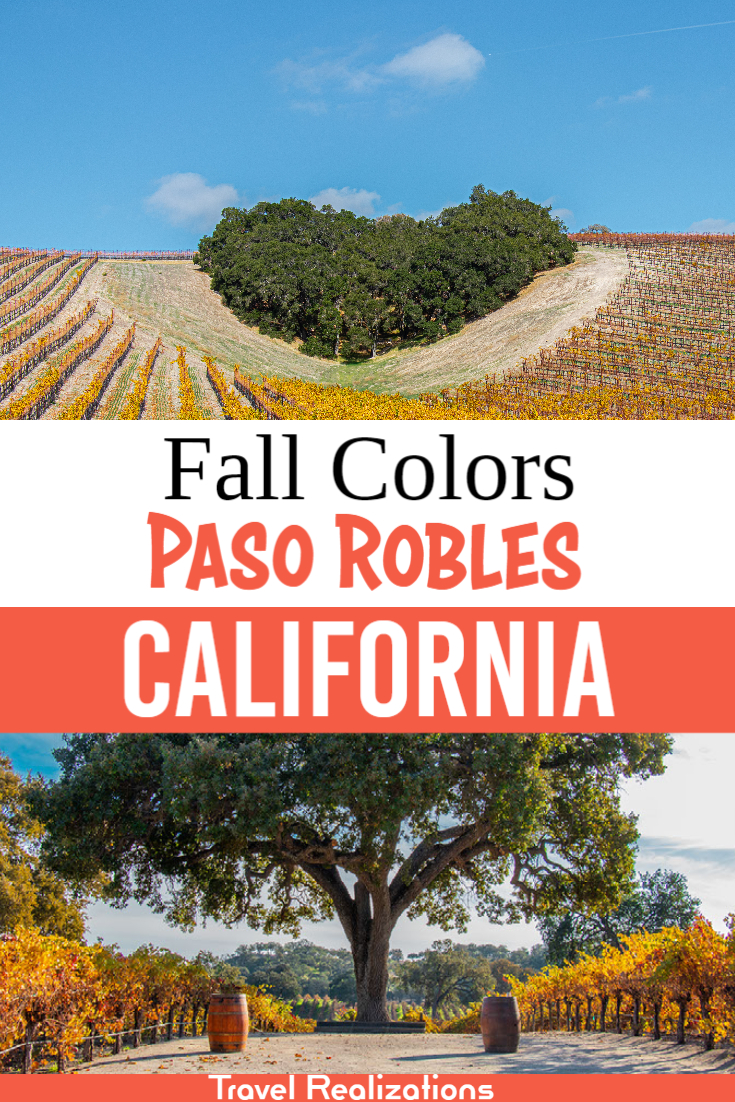 Autumn vines turning gold in Paso Robles wine country