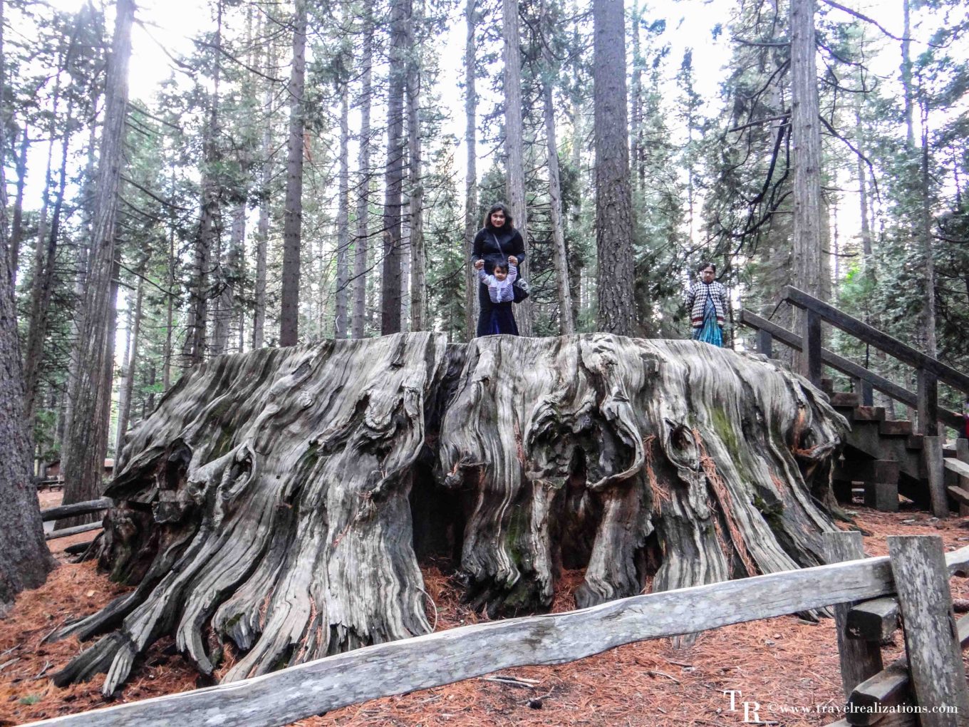54 Top Weekend Trips from San Jose, California - A Getaway Guide, Travel Realizations