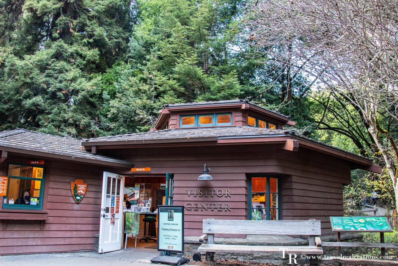 Best Trails in Muir Woods National Monument: A Guide, Travel Realizations