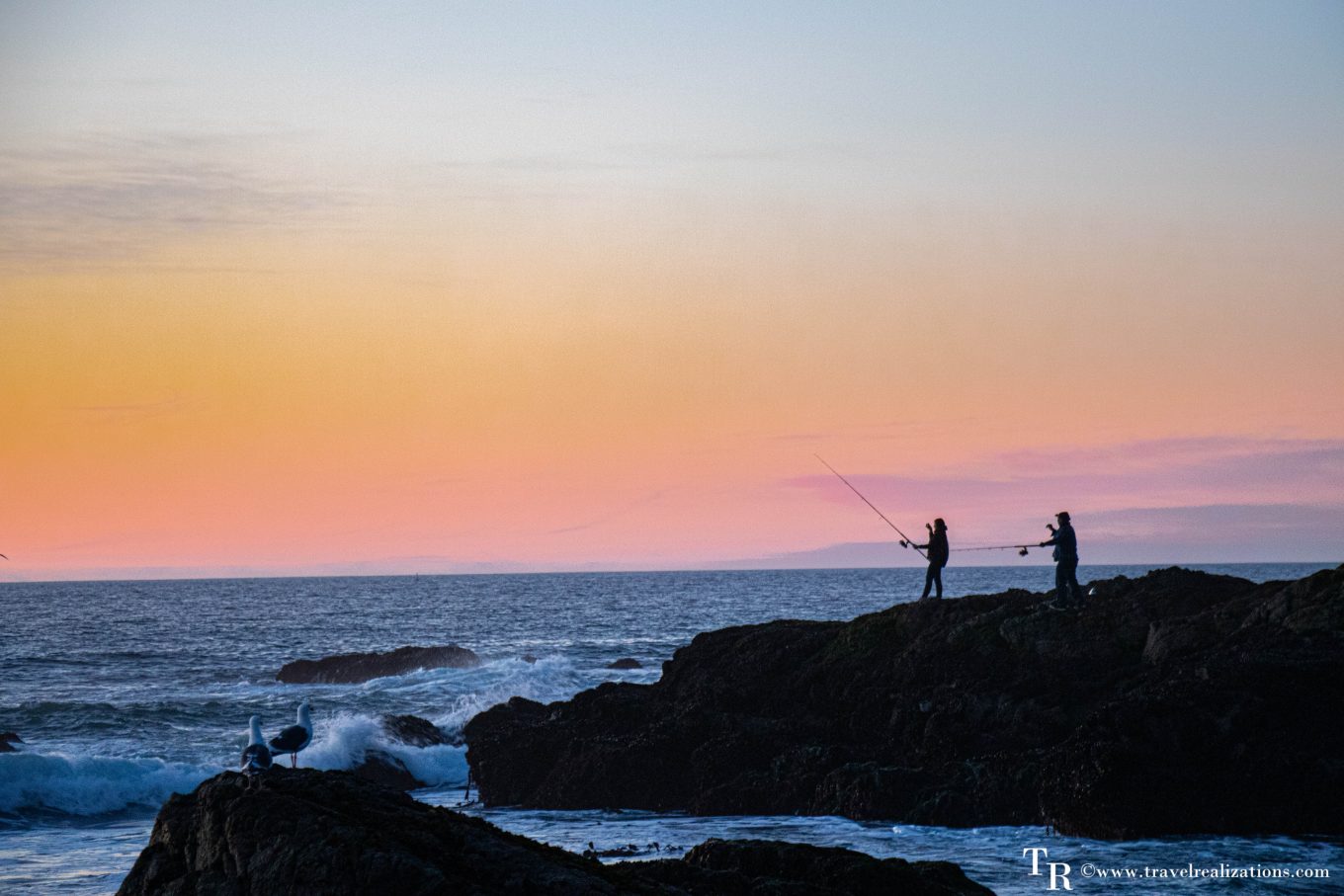 30 Best Things To DO in Bodega Bay, California, Travel Realizations, Fishing