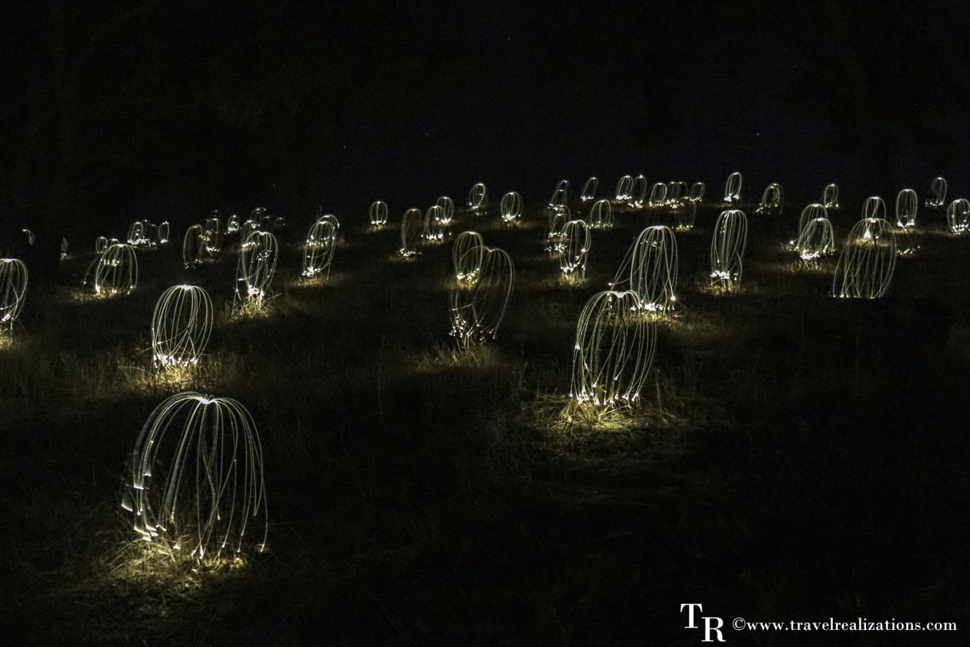 Discover the Magic of Sensorio in Paso Robles: A Perfect Family-Friendly Art Escape, Travel Realizations