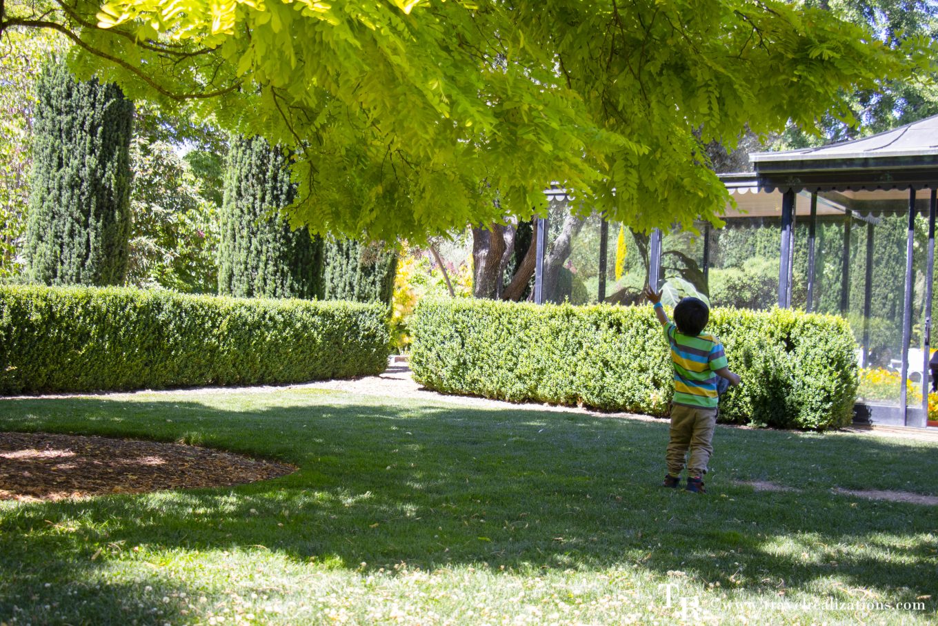 Clipped hedges framing the Pool Pavilion Lawn at Filoli Estate in Woodside, California