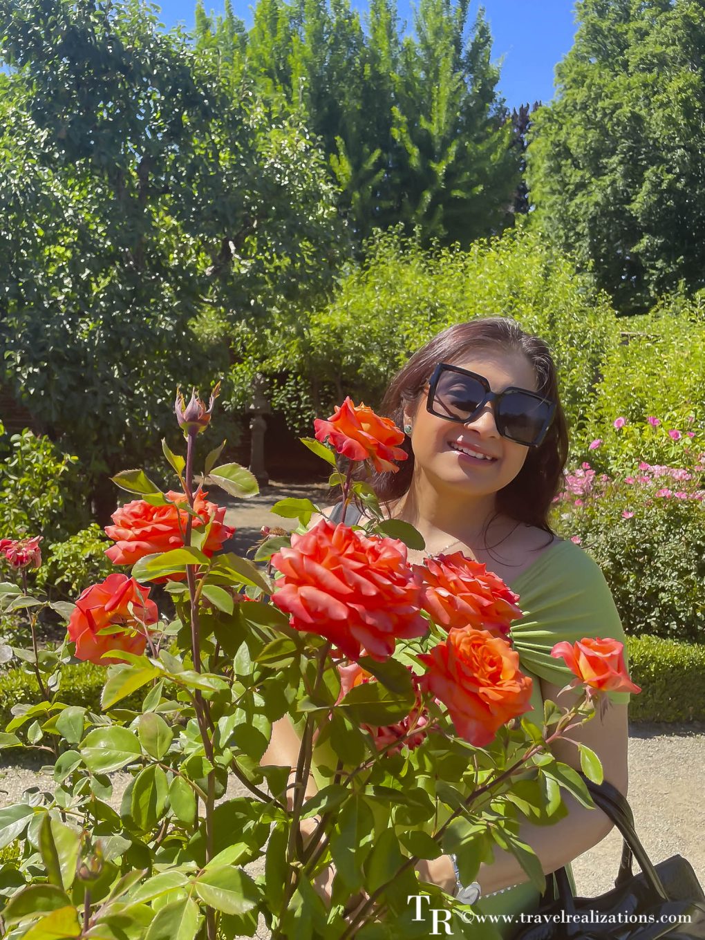 The rose garden in bloom at Filoli Estate in Woodside, California