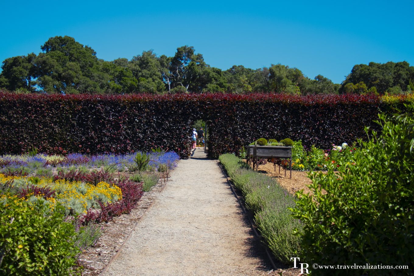 The Knot Garden with its clipped geometric hedging at Filoli Estate in Woodside, California