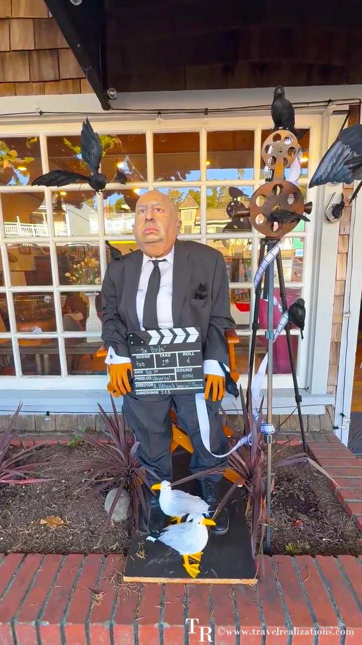 Alfred Hitchcock-inspired scarecrow with a clapperboard and birds in Cambria