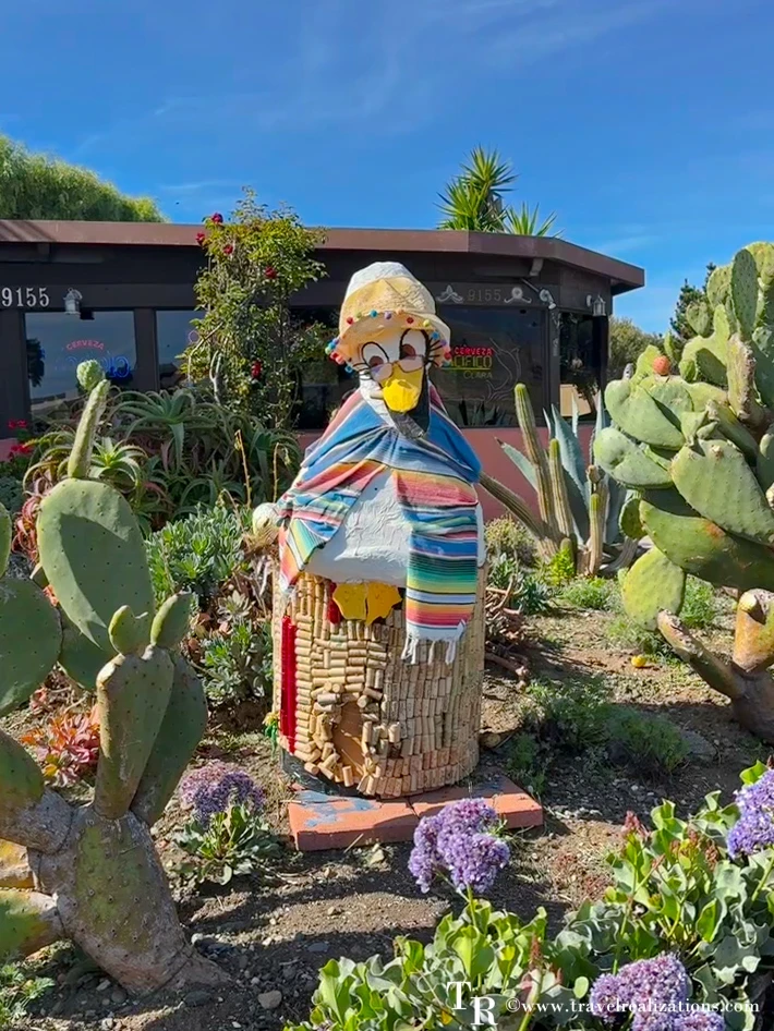 Scarecrow wrapped in a striped serape in a cactus garden in San Simeon